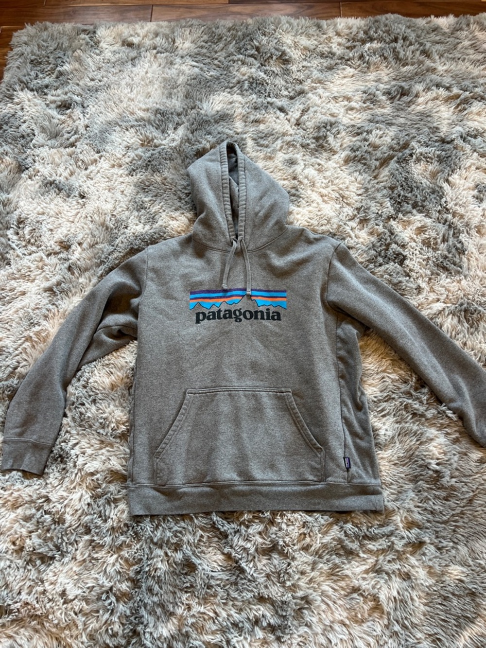 Patagonia Gray Hooded Pullover with Multicolor Logo